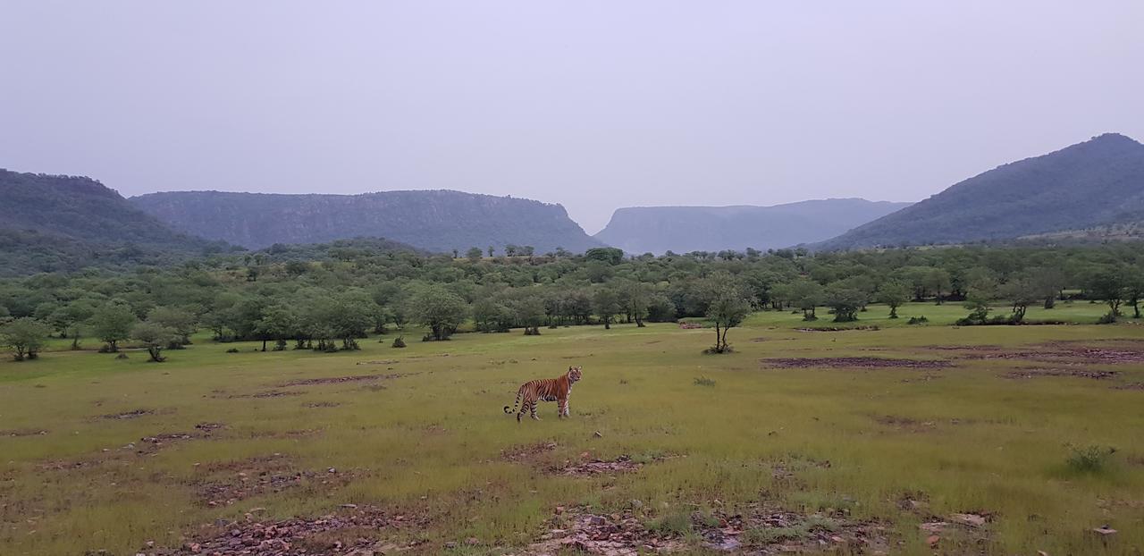 Travel Soul Bed & Breakfast Sawai Madhopur Exteriör bild